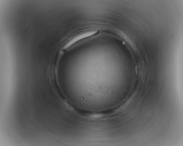 X0000115650313200911171448