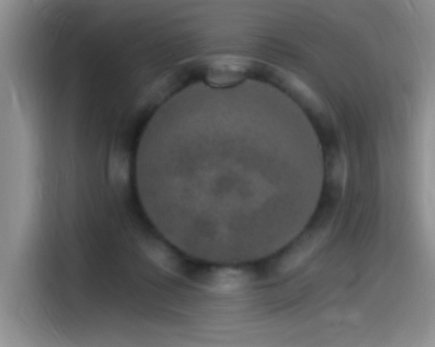 X0000115650315200911171448