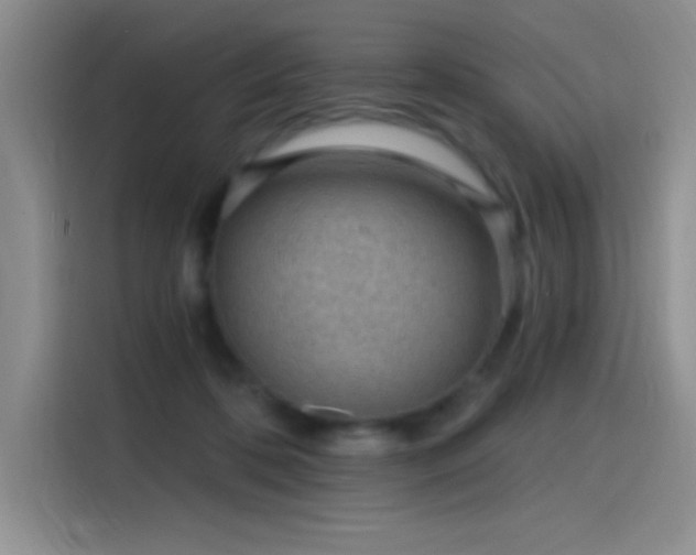 X0000115650316200911171448