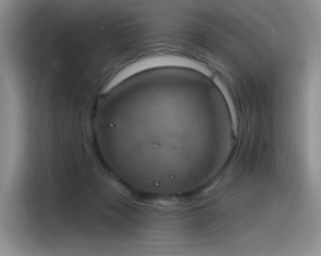 X0000115650317200911171448