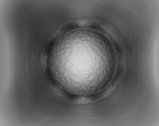 X0000115650319200911171447