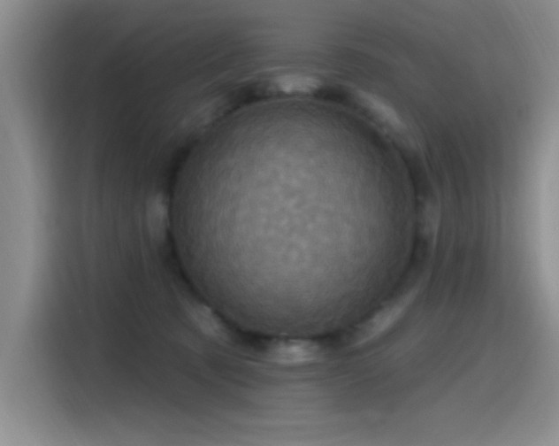 X0000115650321200911171447