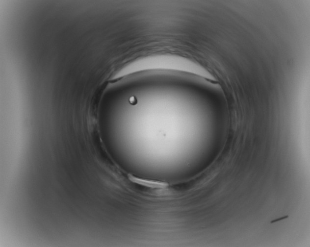 X0000115650324200911171447