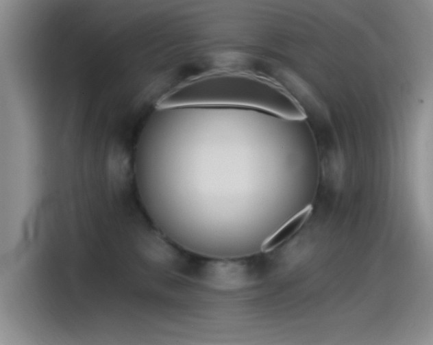 X0000115650327200911171447