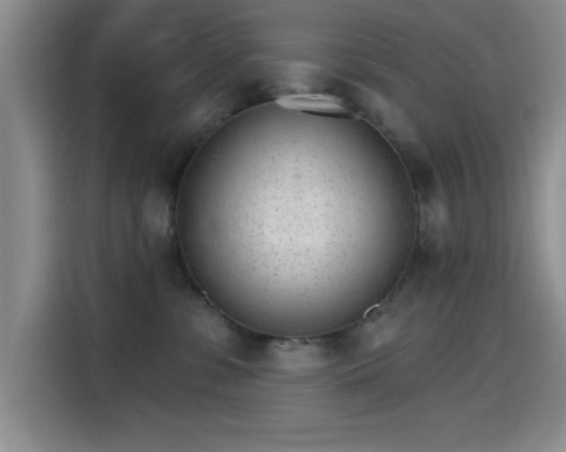 X0000115650331200911171447