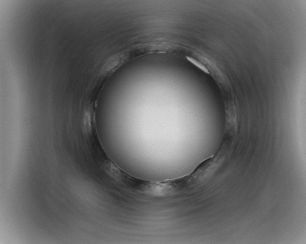 X0000115650333200911171447