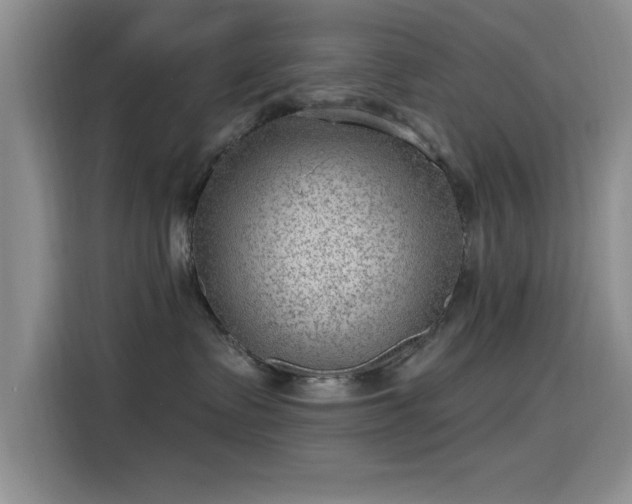 X0000115650335200911171447