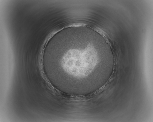 X0000115650337200911171447