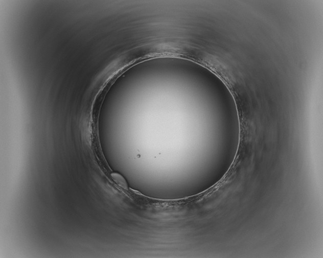 X0000115650338200911171447