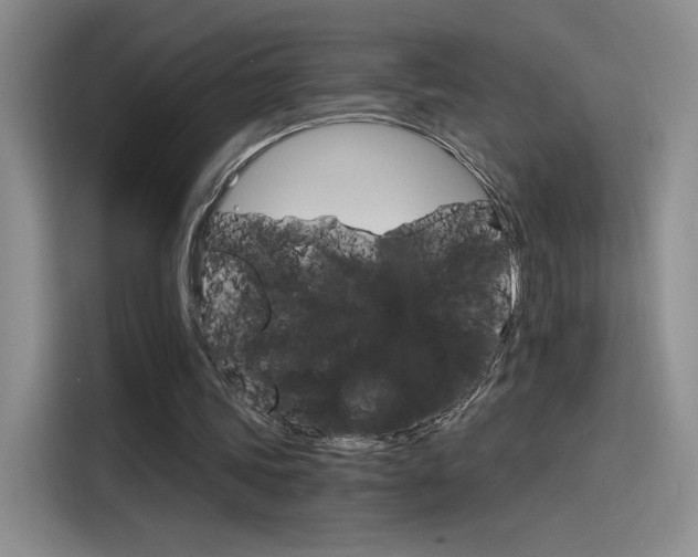 X0000115650339200911171447