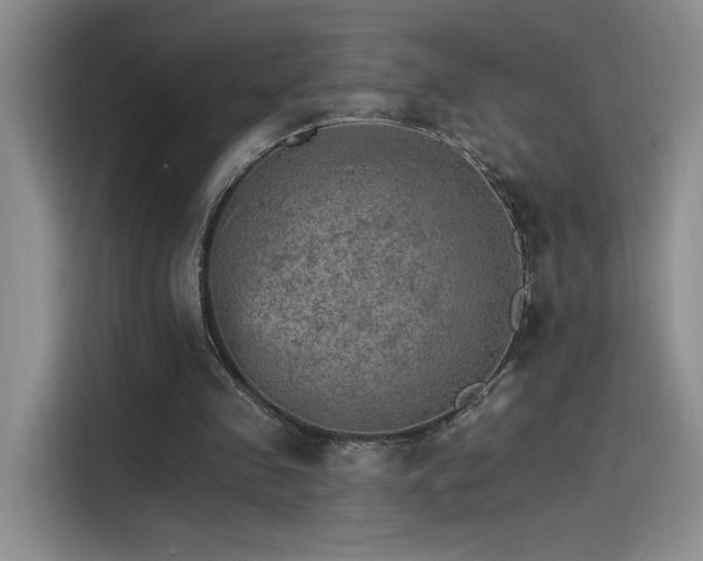 X0000115650341200911171447