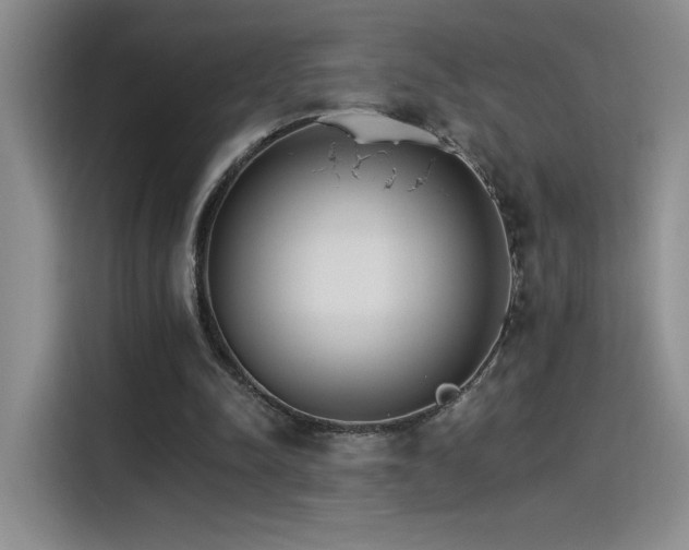 X0000115650342200911171447