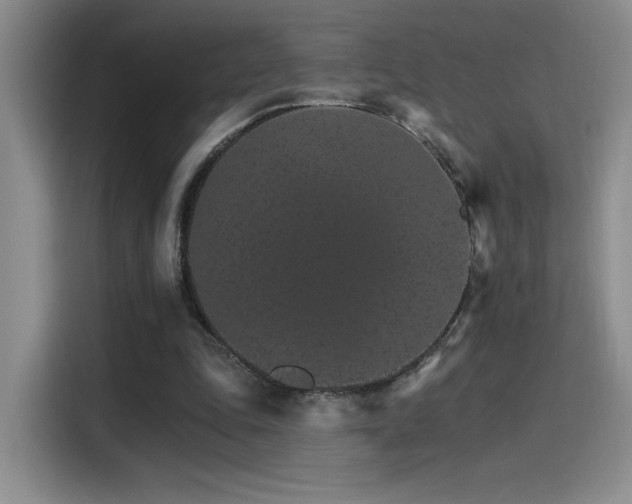 X0000115650343200911171447