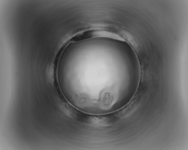 X0000115650346200911171447