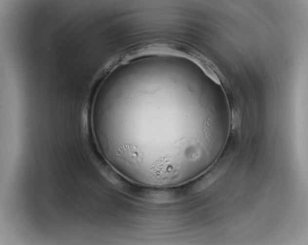 X0000115650349200911171447