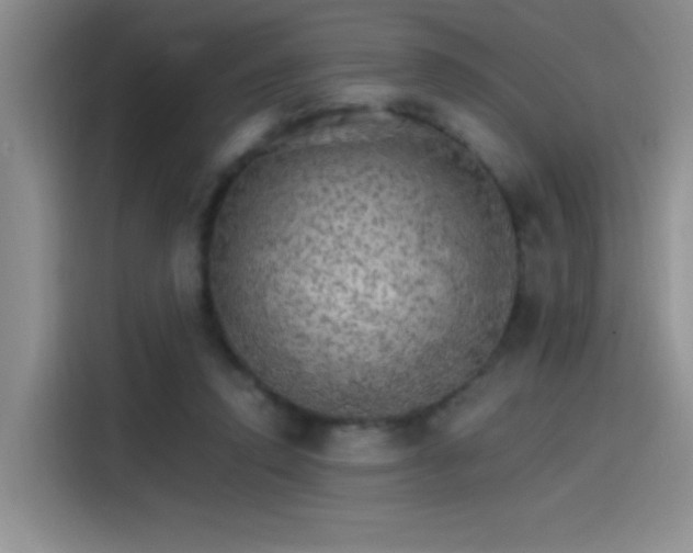 X0000115650354200911171447