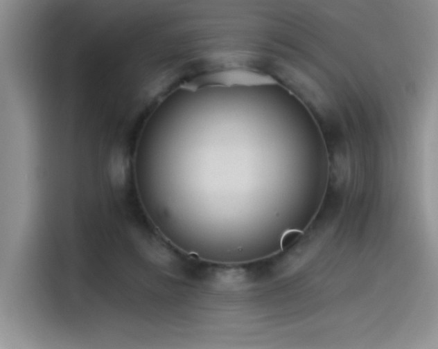 X0000115650355200911171447