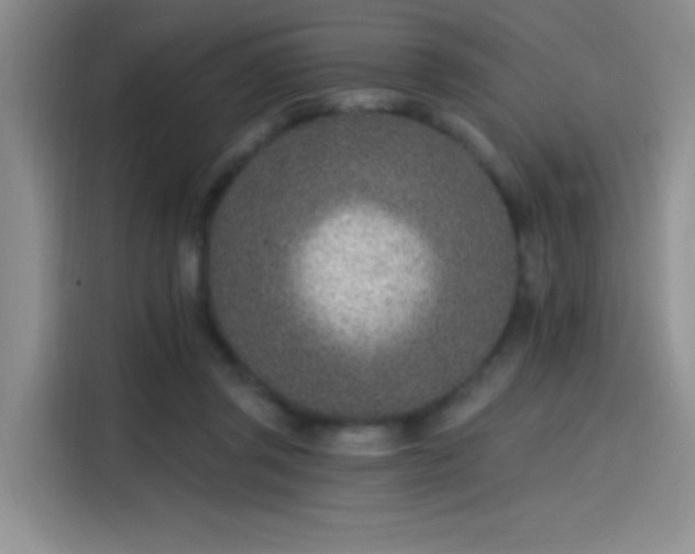 X0000115650357200911171447