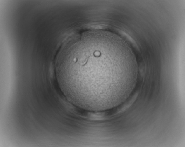 X0000115650359200911171447