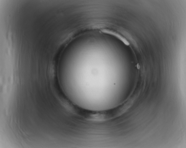 X0000115650362200911171447