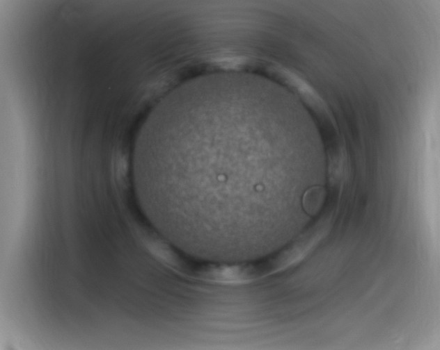 X0000115650365200911171447