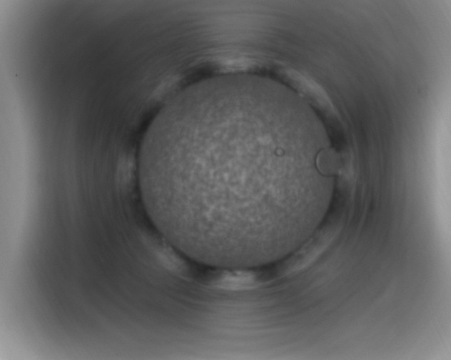 X0000115650369200911171447