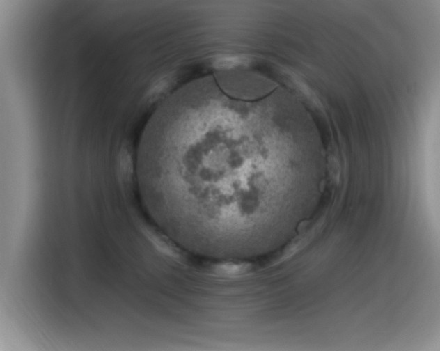 X0000115650375200911171447