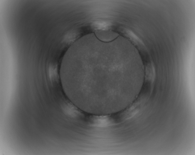 X0000115650377200911171447