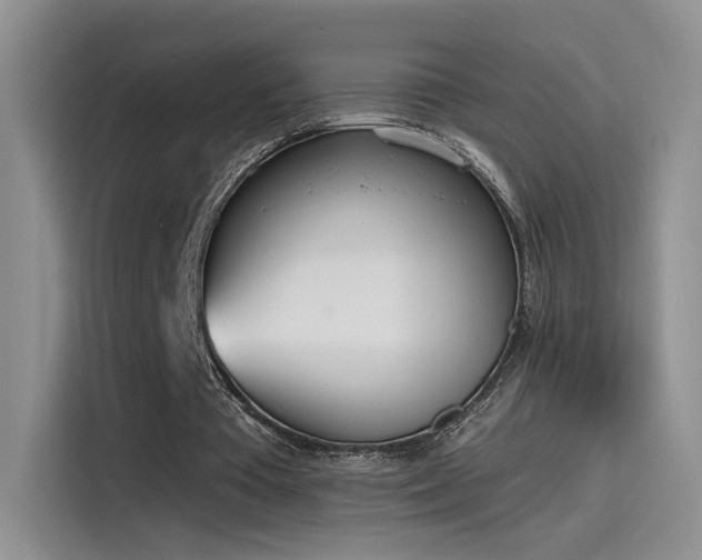 X0000115650385200911171447