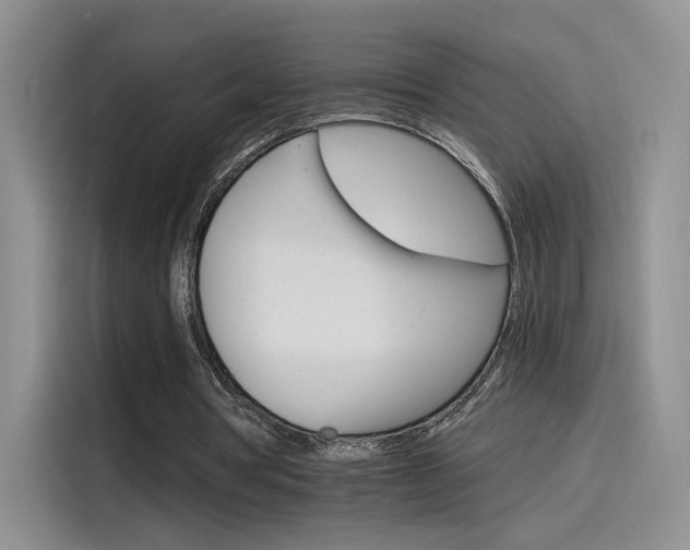 X0000115650386200911171447