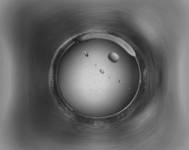 X0000115650388200911171447