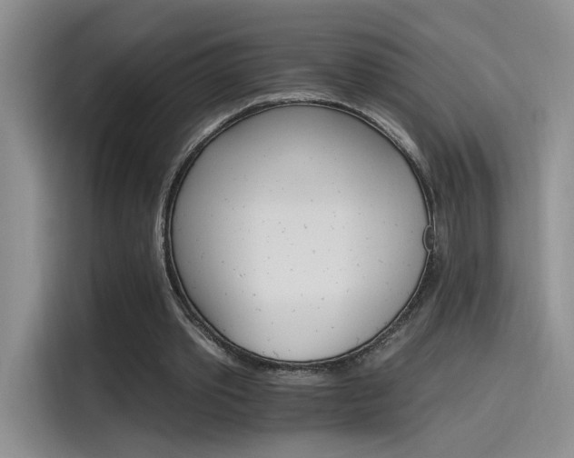 X0000115650389200911171447