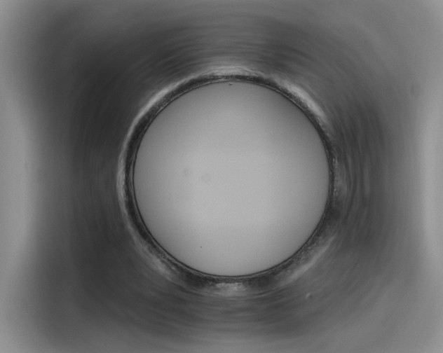 X0000115650391200911171447