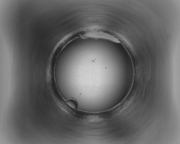 X0000115650392200911171447