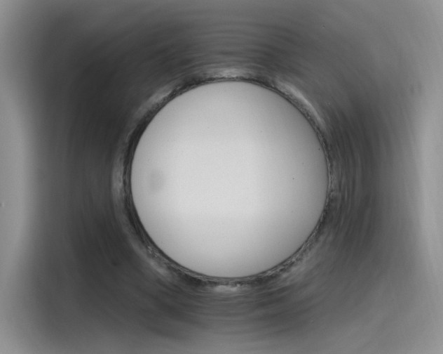 X0000115650394200911171447