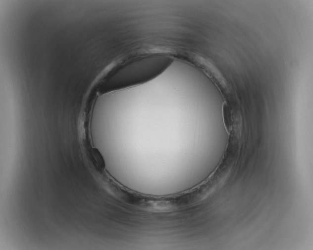 X0000115650395200911171446