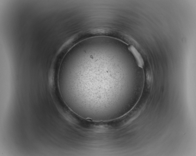 X0000115650396200911171446