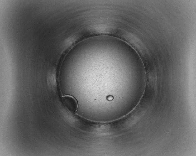 X0000115650398200911171446