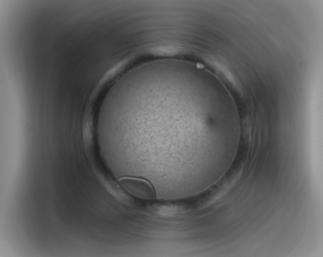 X0000115650400200911171446