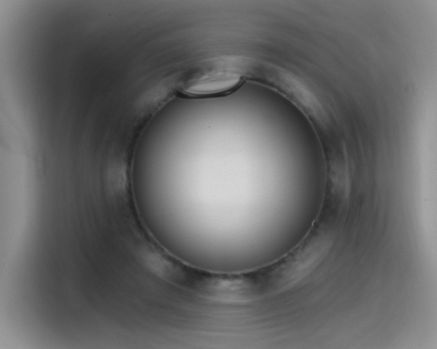 X0000115650401200911171446