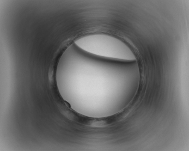 X0000115650403200911171446