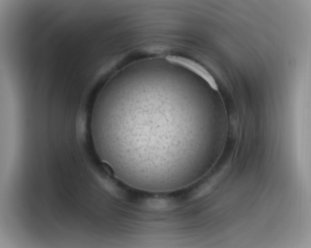 X0000115650404200911171446