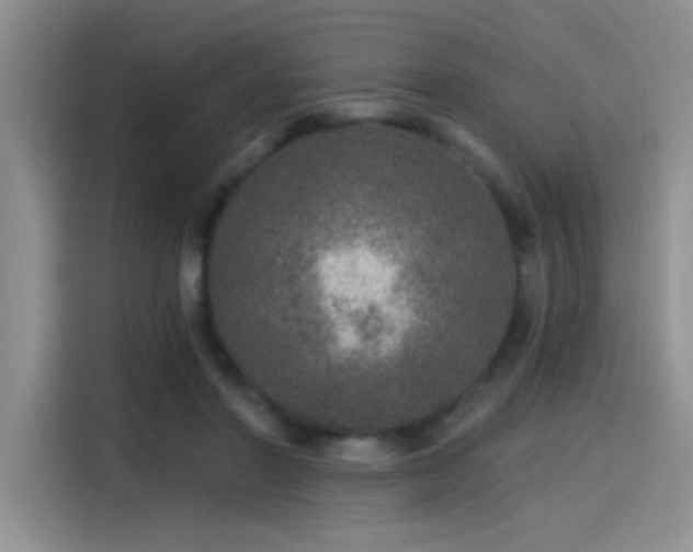 X0000115650406200911171446