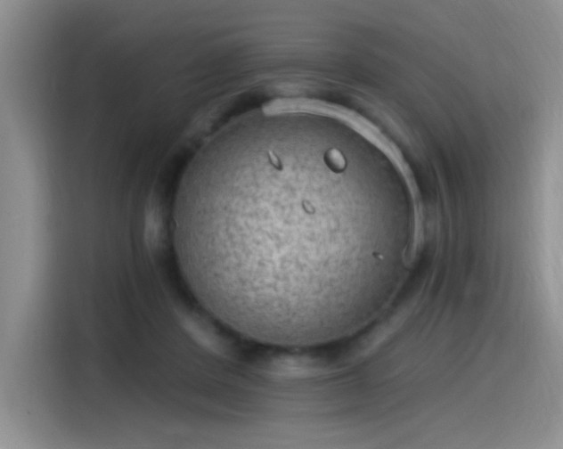 X0000115650408200911171446