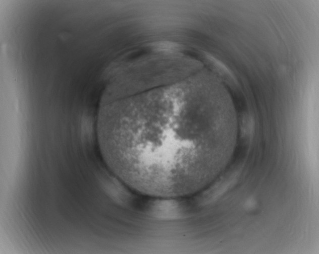 X0000115650409200911171446