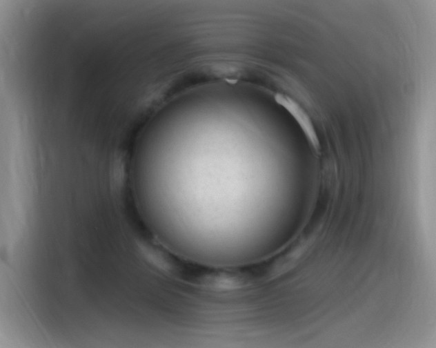 X0000115650412200911171446