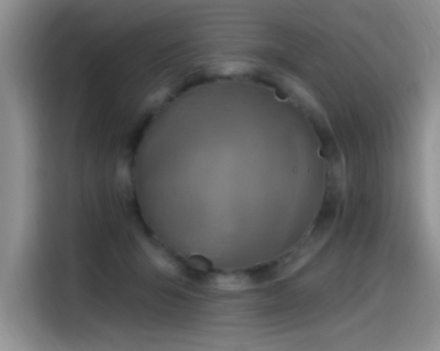 X0000115650415200911171446