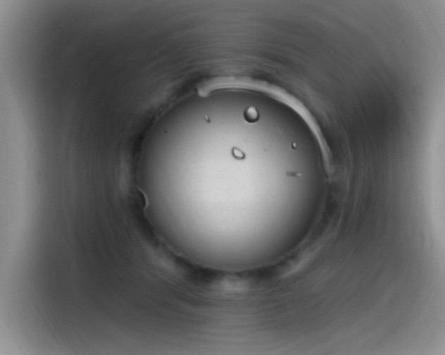 X0000115650416200911171446