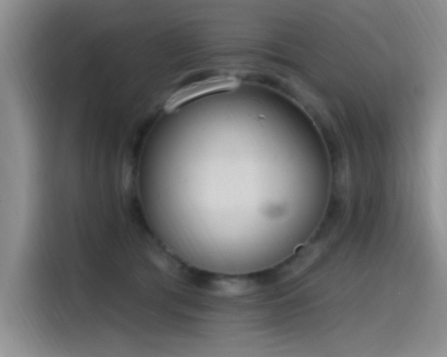 X0000115650417200911171446