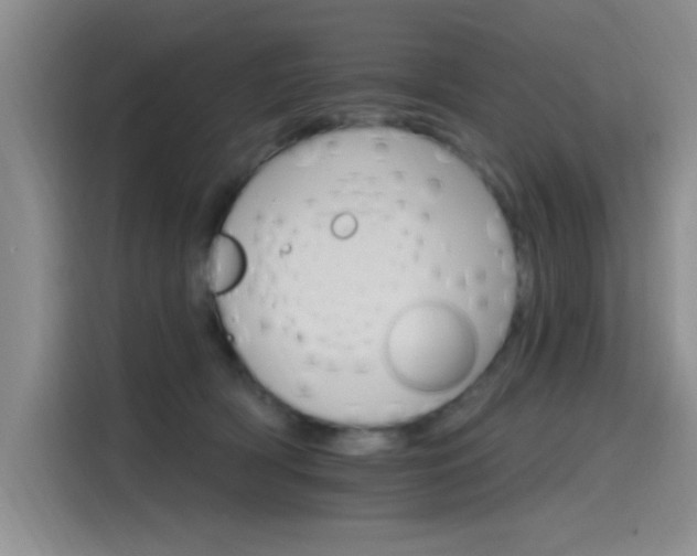 X0000115650418200911171446